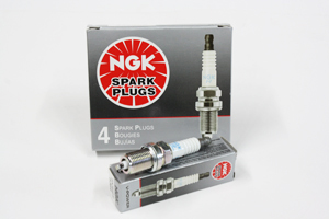 NGK Spark Plug for Animal & Honda